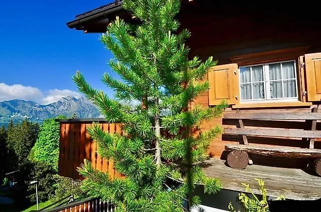 Casa Alpetta Appartement